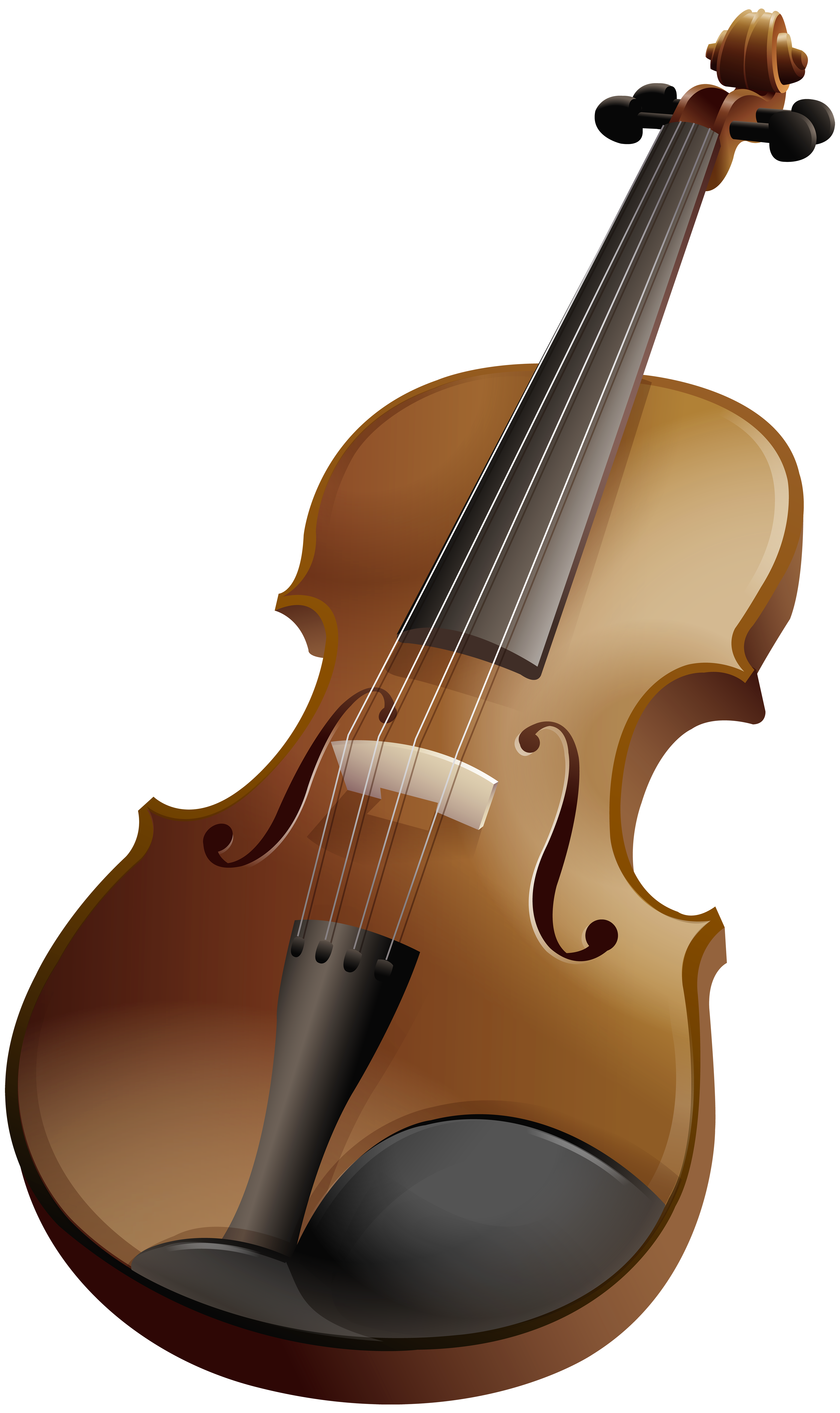 Violin family Musical Instruments Double bass Cello - violin png