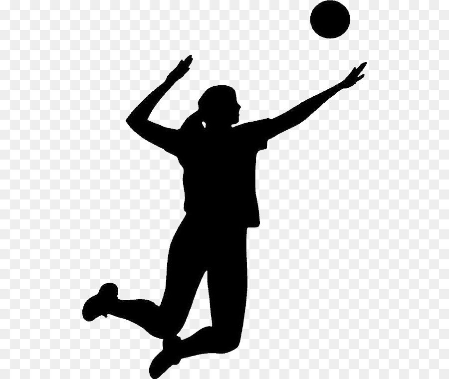 Volleyball Silhouette Clip art - Volleyball PNG png download - 570*760 - Free Transparent  png Download.