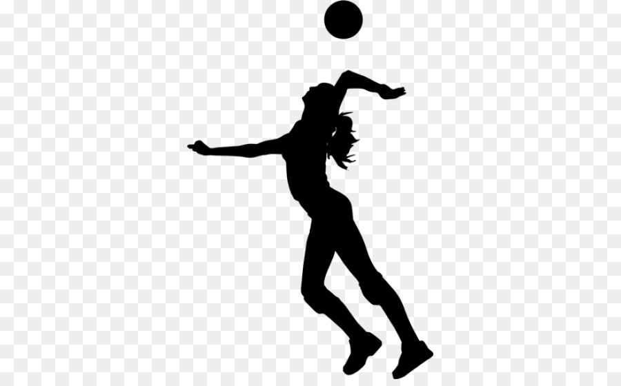 Volleyball Sports - Volleyball PNG png download - 550*550 - Free Transparent Volleyball png Download.