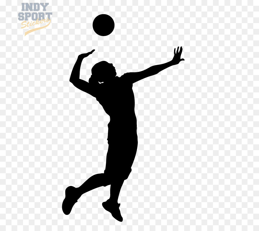 Clip art Volleyball player Silhouette Vector graphics - volleyball png download - 800*800 - Free Transparent Volleyball png Download.