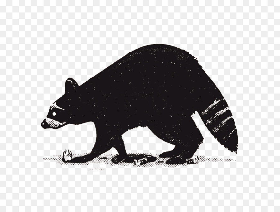 New York City Ottawa Polar bear Illustration - Polar bear illustration png download - 1050*789 - Free Transparent  png Download.