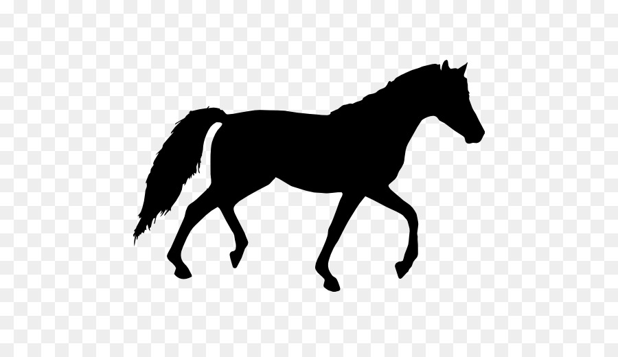 Tennessee Walking Horse Equestrian Clip art - walking horse png download - 512*512 - Free Transparent Tennessee Walking Horse png Download.