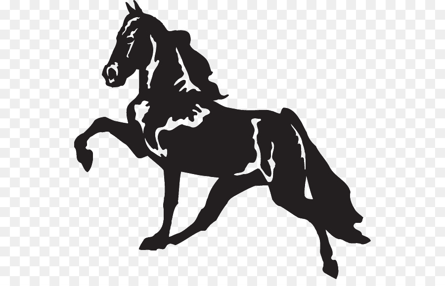 Tennessee Walking Horse Decal Racking horse Bumper sticker - car png download - 600*566 - Free Transparent Tennessee Walking Horse png Download.