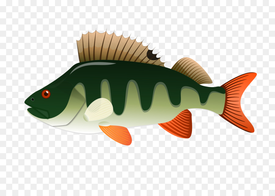 Northern pike Yellow perch Clip art - fish png download - 2400*1697 - Free Transparent Northern Pike png Download.