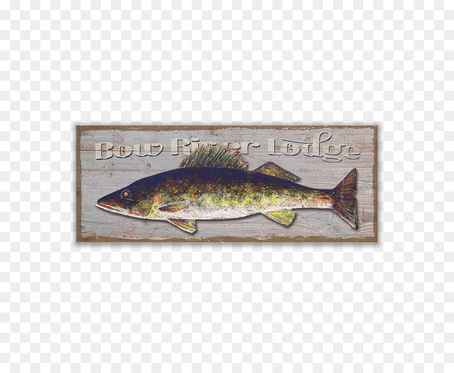 Walleye fishing Fly fishing Trout - metal sign png download - 730*730 - Free Transparent Walleye png Download.