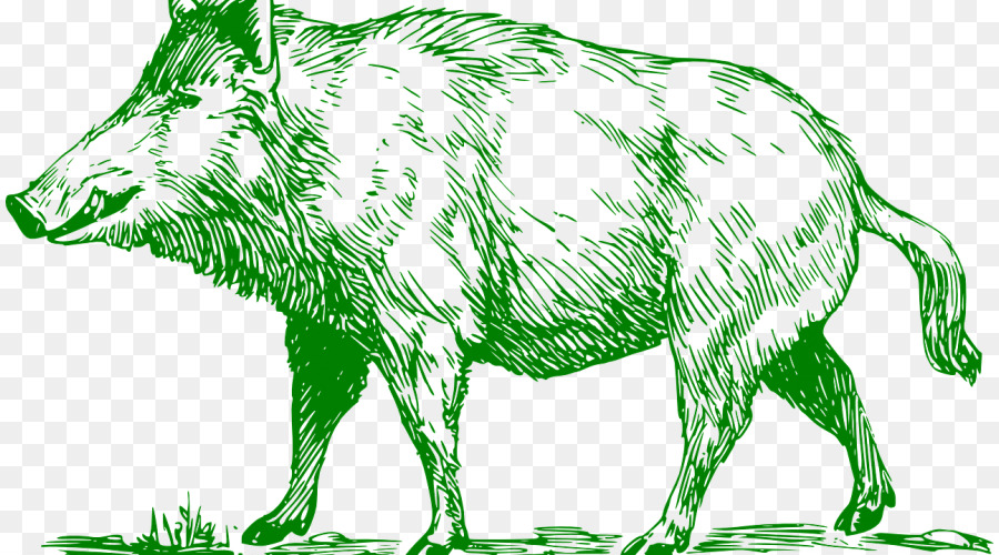 Common warthog Boar hunting Domestic pig Clip art - tiger png download - 890*500 - Free Transparent Common Warthog png Download.