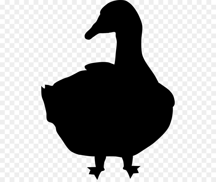 Duck Goose Clip art Silhouette Bird -  png download - 556*750 - Free Transparent Duck png Download.
