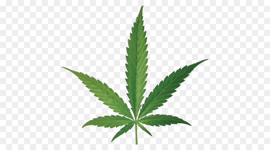 Cannabis smoking Joint Leaf Bud - cannabis png download - 500*500 - Free Transparent Cannabis png Download.