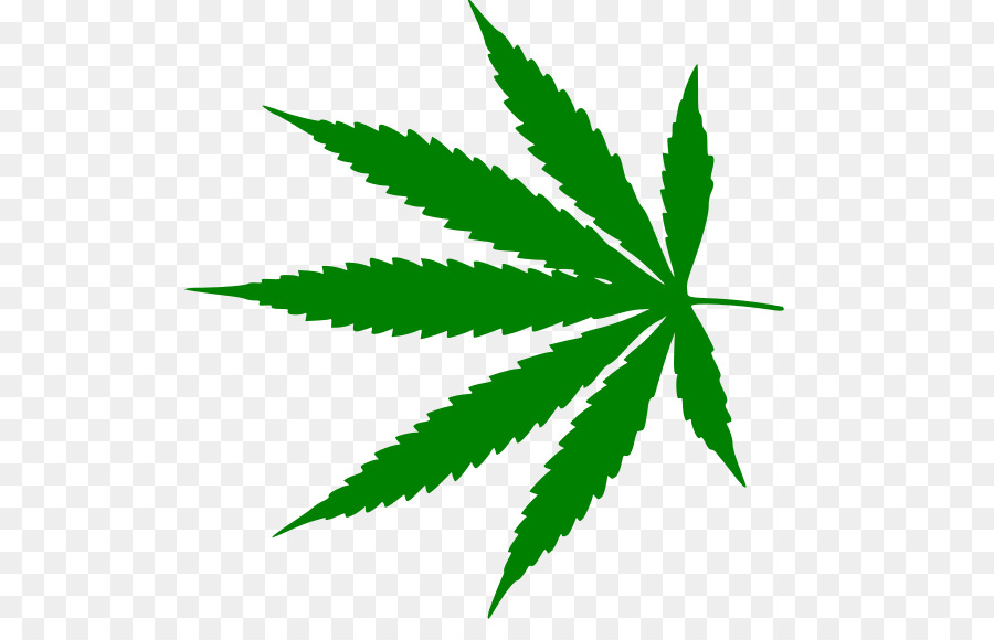 Medical cannabis Legalization Amazon.com Joint - cannabis png download - 599*562 - Free Transparent Cannabis png Download.