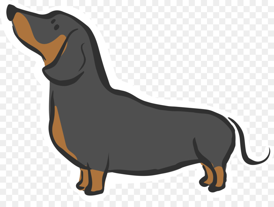 Dachshund Siberian Husky Puppy Dog breed Hound - Looking up at the sky dog png download - 3344*2472 - Free Transparent Dachshund png Download.