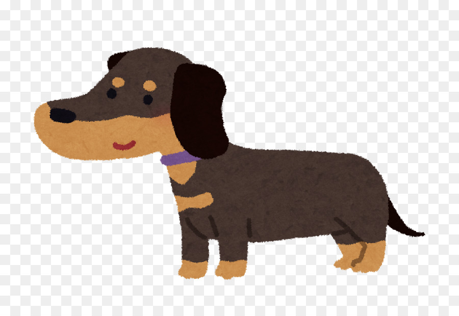 Dachshund Dog breed Puppy Cat Black & Gold - weiner dogs png download - 800*604 - Free Transparent Dachshund png Download.