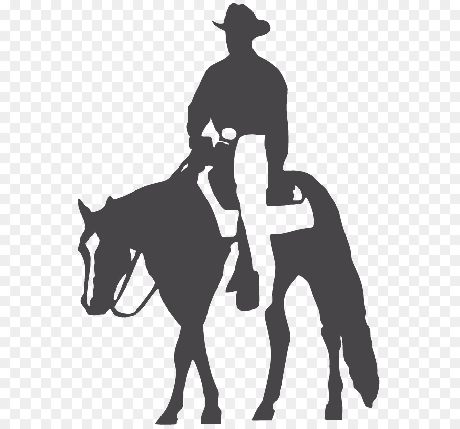 American Quarter Horse Appaloosa Western pleasure Halter Clip art - horse western png download - 600*834 - Free Transparent American Quarter Horse png Download.