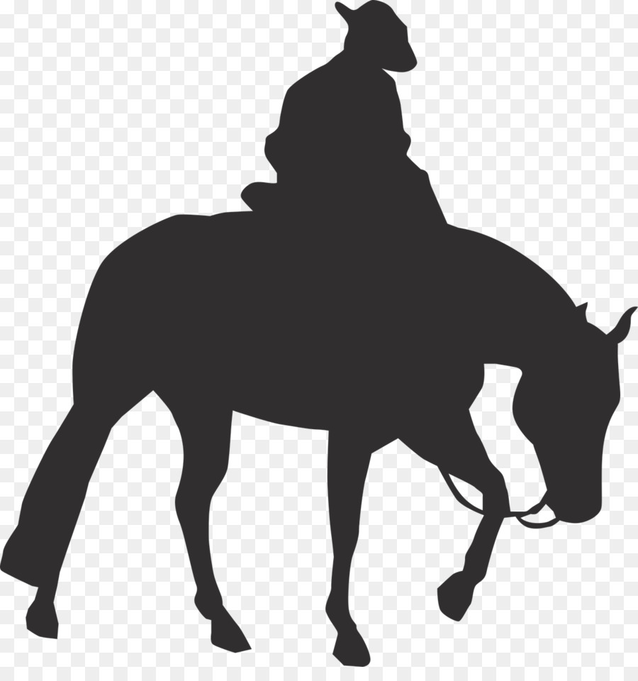 Rocky Mountain Horse Pony Vector graphics Equestrian Western riding - english riding photography png download - 1225*1280 - Free Transparent Rocky Mountain Horse png Download.
