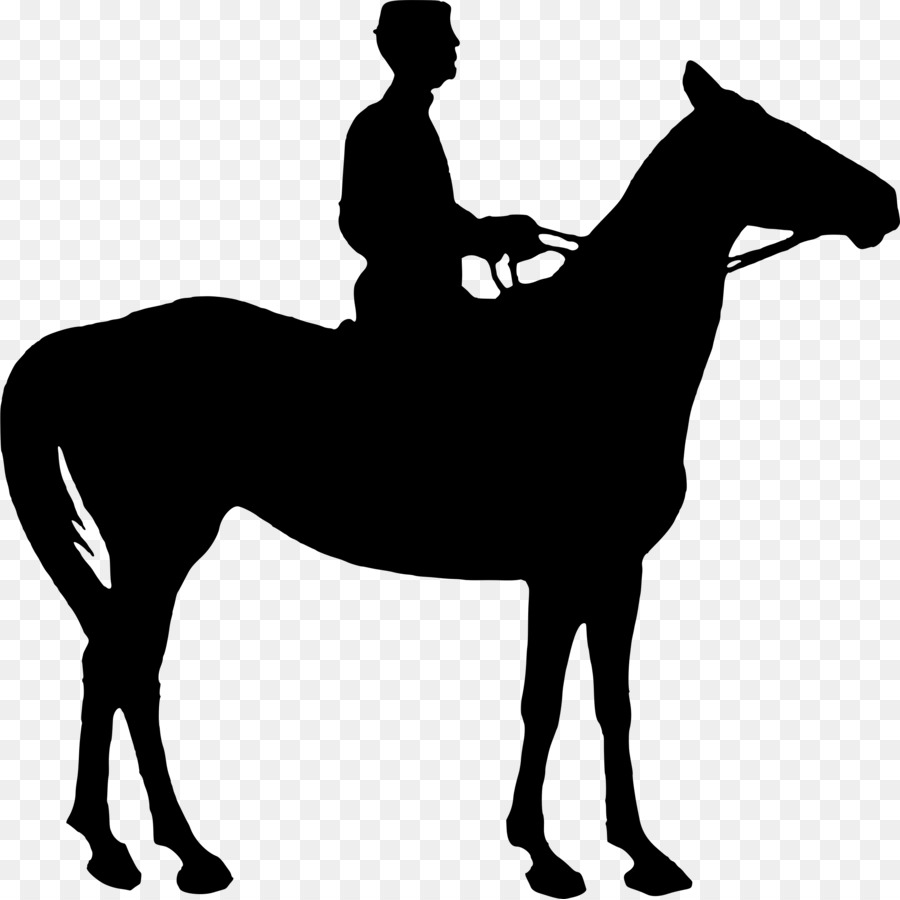 Horse&Rider Equestrian Silhouette Clip art - rider png download - 2399*2396 - Free Transparent Horse png Download.