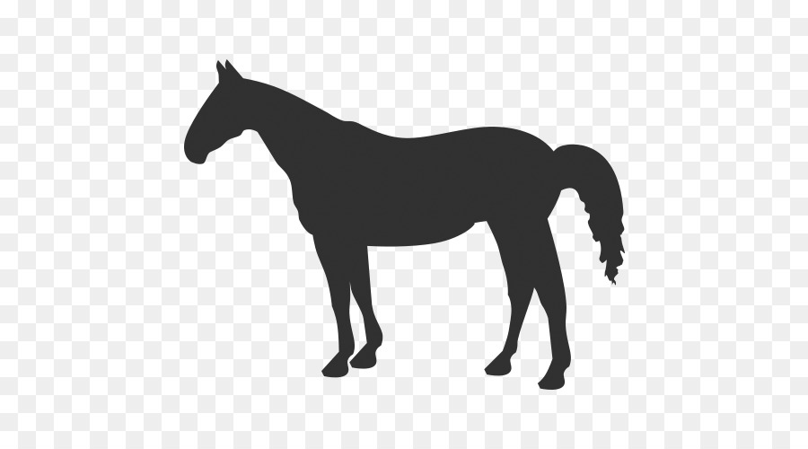American Quarter Horse Clip art Vector graphics Illustration Western pleasure - Silhouette png download - 500*500 - Free Transparent American Quarter Horse png Download.