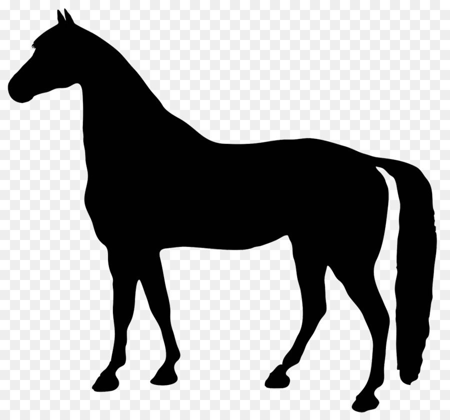 Standing Horse Silhouette Clip art - horseshoe png download - 1004*936 - Free Transparent Horse png Download.