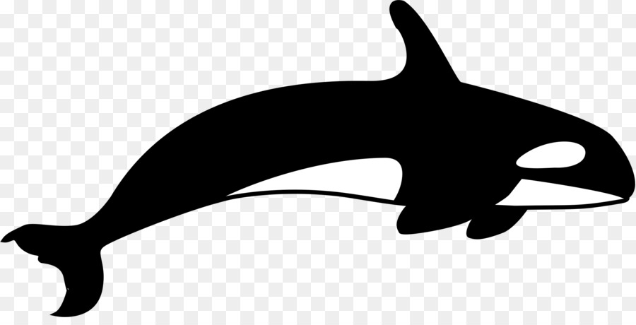 Killer whale T-shirt Clip art - whale png download - 2379*1188 - Free Transparent Killer Whale png Download.