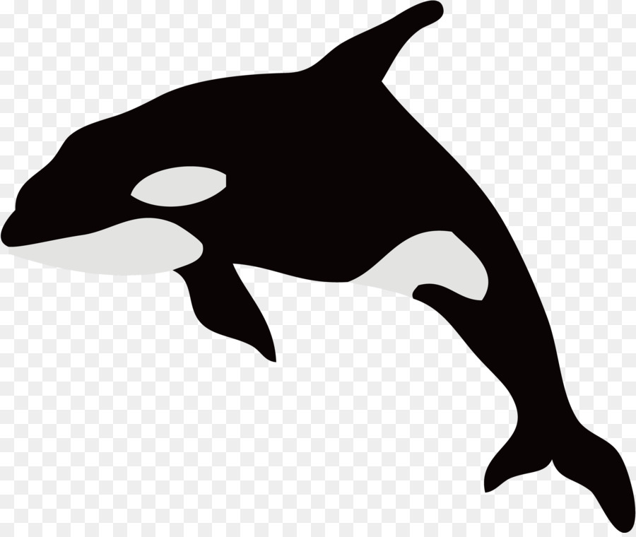 Dolphin Killer whale Illustration Whales Silhouette - black png download - 3840*3218 - Free Transparent Dolphin png Download.
