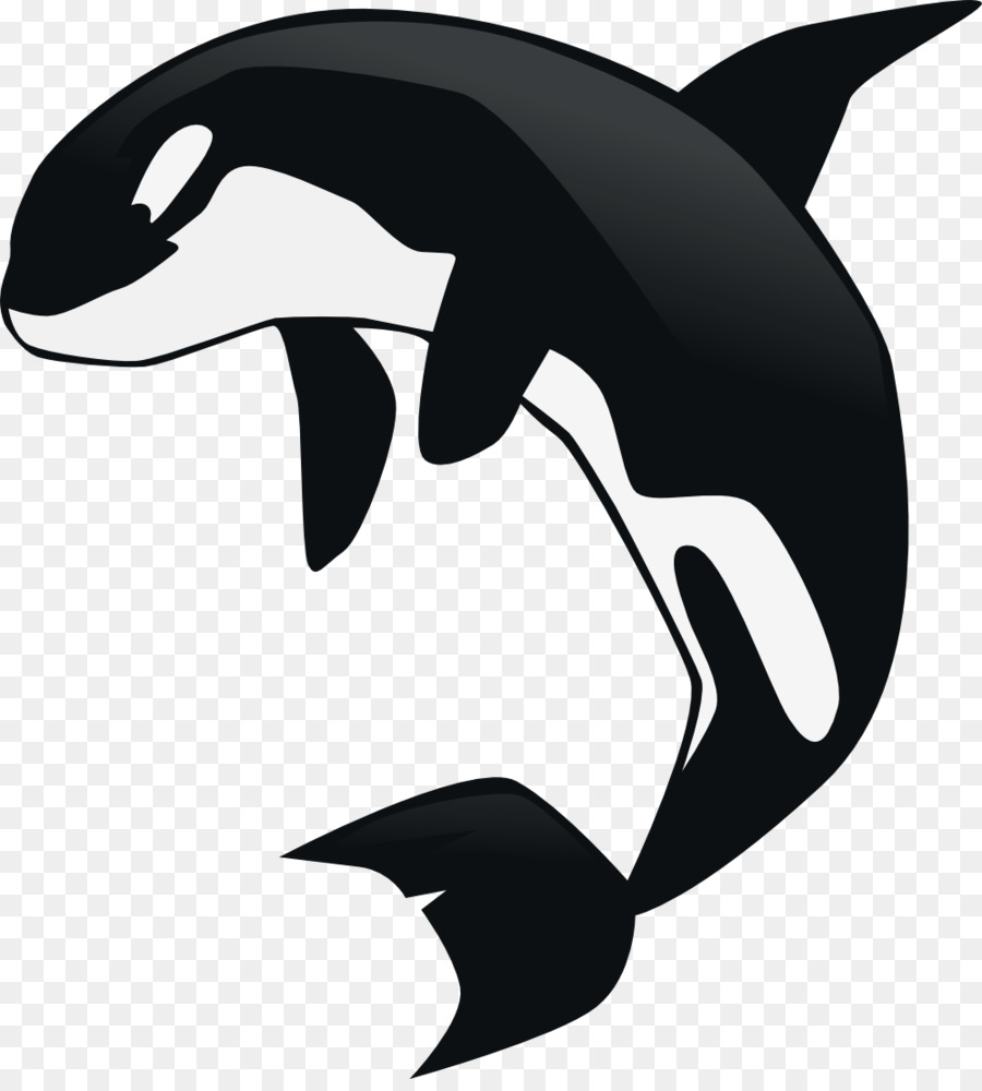 Killer whale Clip art - whale png download - 998*1097 - Free Transparent Killer Whale png Download.