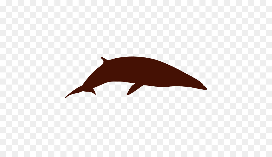 Dolphin Whale Silhouette - dolphin png download - 512*512 - Free Transparent Dolphin png Download.