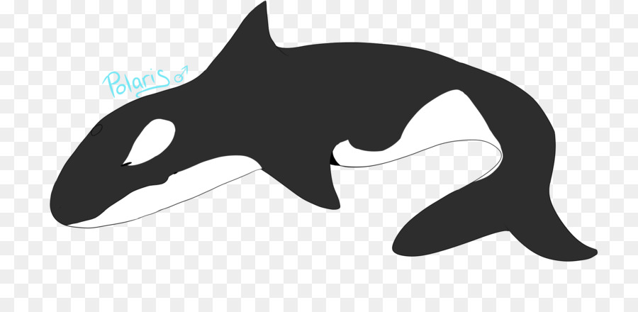 Cat Dolphin Killer whale Shark Clip art - Cat png download - 2100*1000 - Free Transparent Cat png Download.