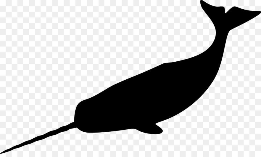 Narwhal Whale Drawing Clip art - whale png download - 960*564 - Free Transparent Narwhal png Download.