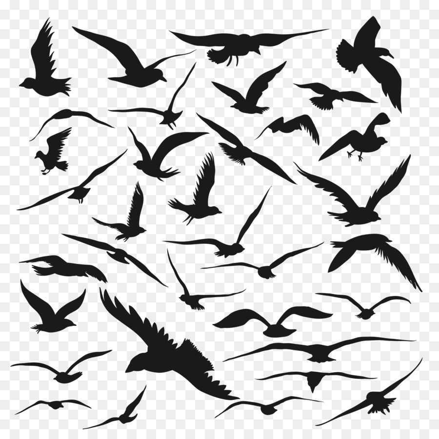 Bird Silhouette Drawing Vector graphics - flight png download - 2500*2500 - Free Transparent Bird png Download.