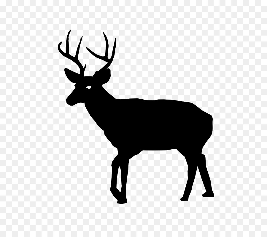 White-tailed deer Deer hunting Clip art - white deer png download - 566*800 - Free Transparent Deer png Download.