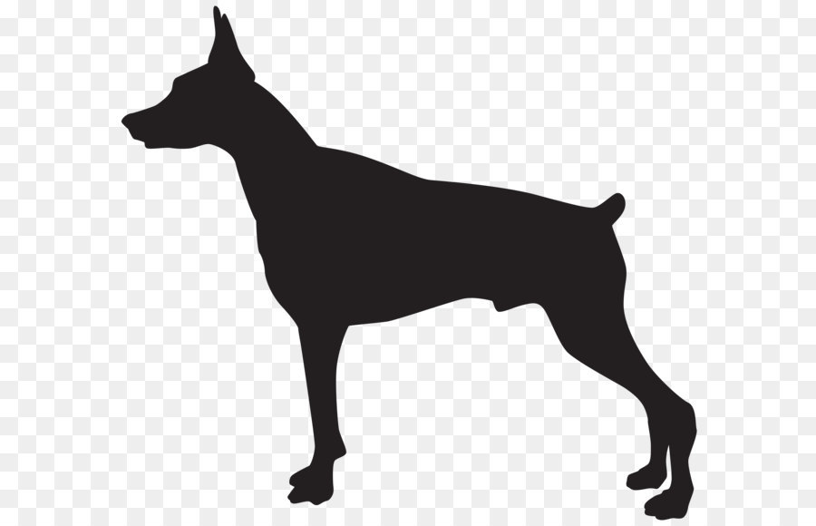 Rottweiler German Shepherd Guard dog Puppy Purebred dog - Doberman Dog Silhouette PNG Transparent Clip Art Image png download - 8000*7137 - Free Transparent Dobermann png Download.