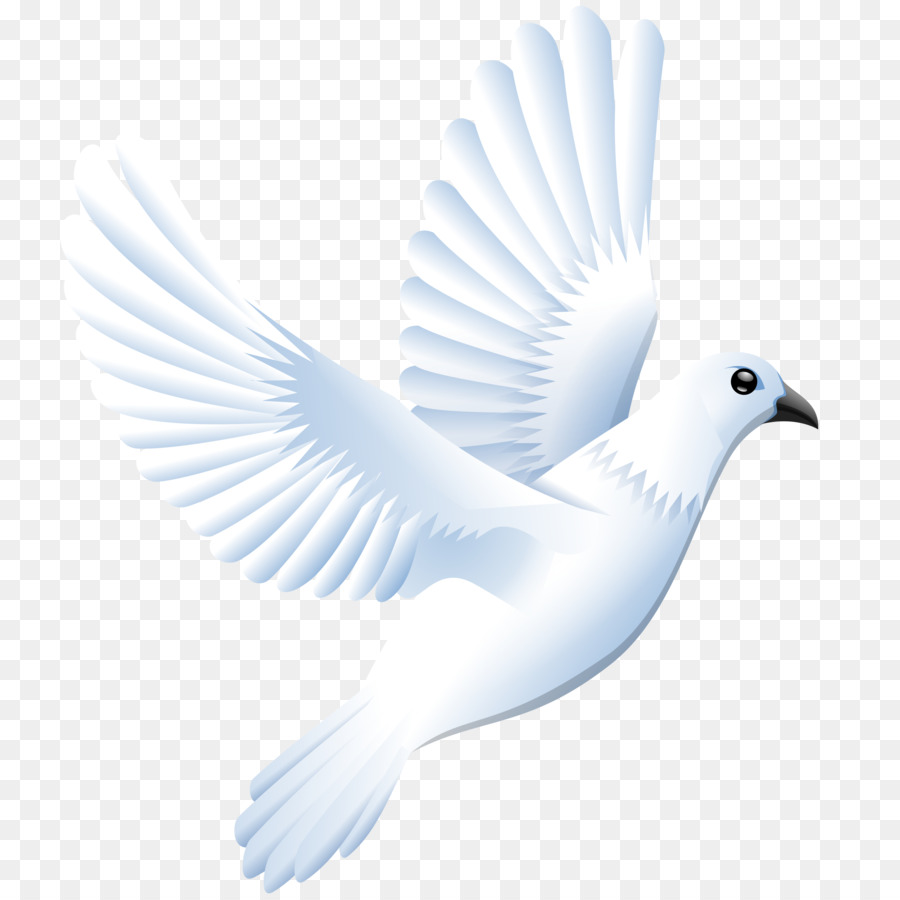 Columbidae Doves as symbols Drawing Clip art - love Dove png download - 2400*2400 - Free Transparent Columbidae png Download.