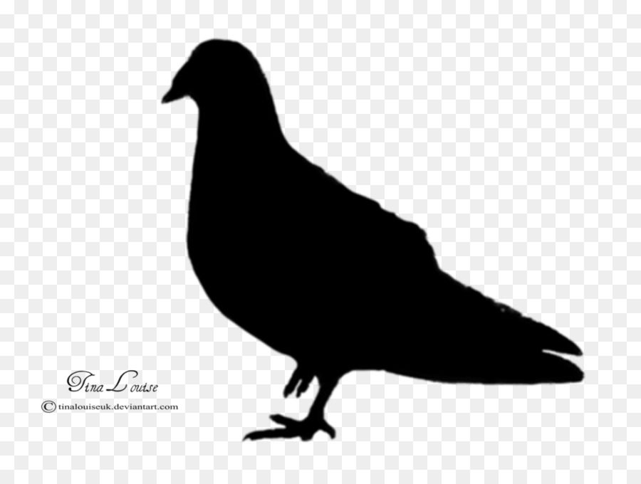 Domestic pigeon Columbidae Bird Silhouette - pigeon png download - 1024*768 - Free Transparent Domestic Pigeon png Download.