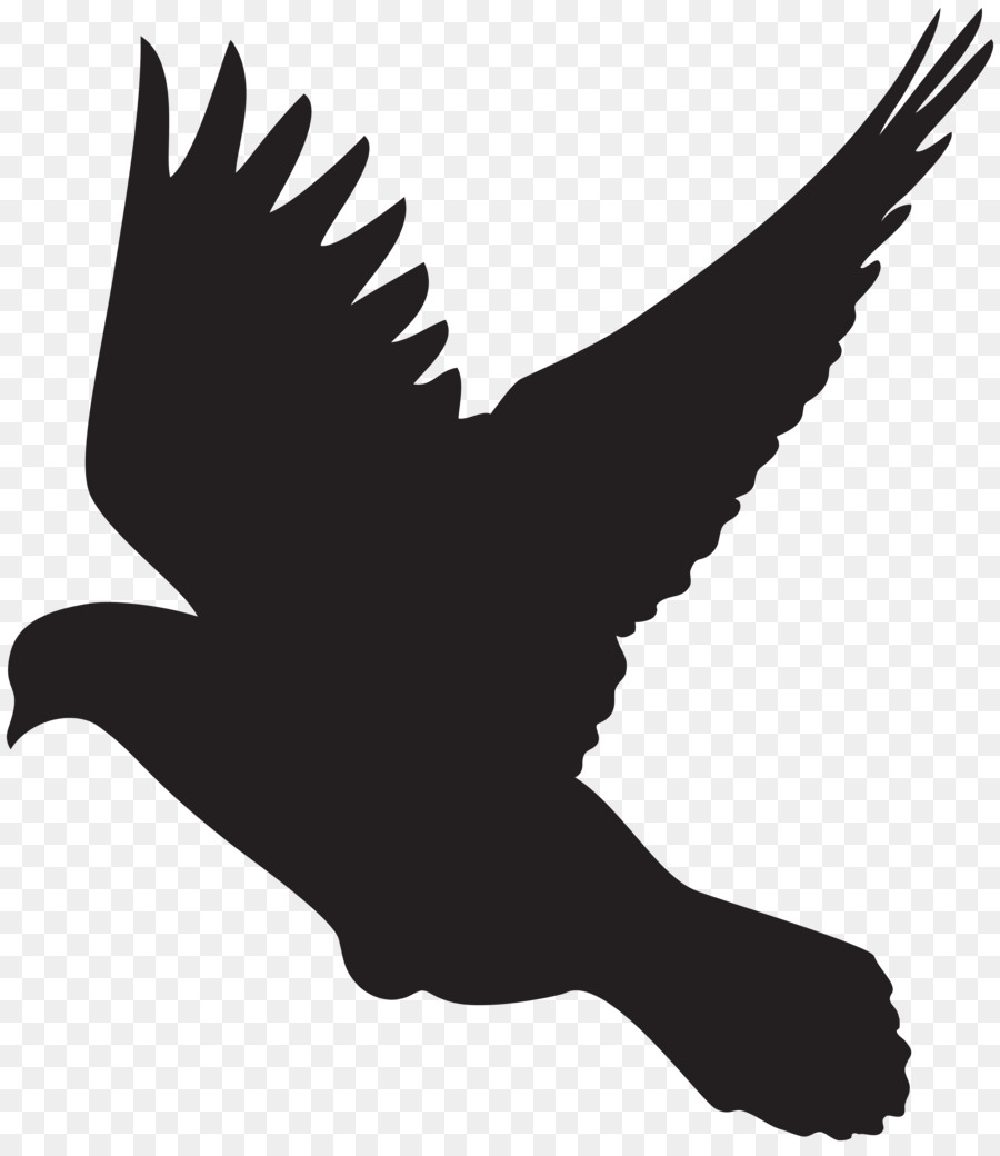 Columbidae Silhouette Drawing Dove Clip art - DOVES png download - 6971*8000 - Free Transparent Columbidae png Download.
