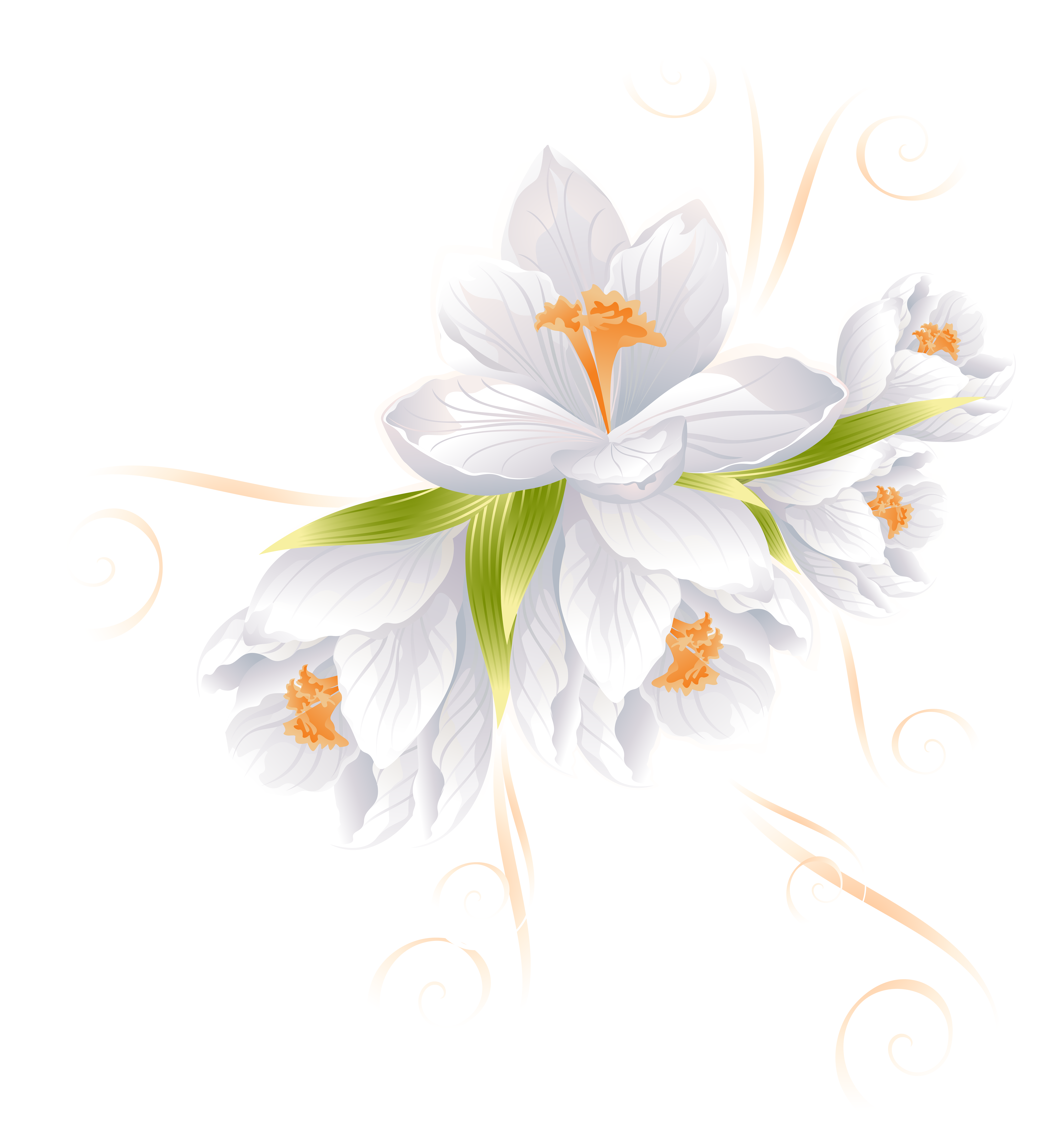 Flower Clip art - White Flower Decor Transparent PNG Clip Art Image png