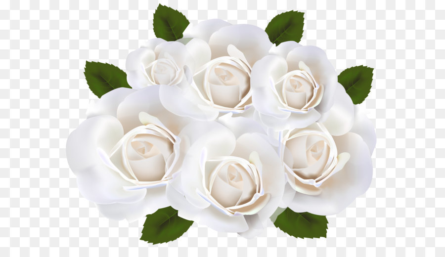 Garden roses White Clip art - White Roses PNG Clip Art Transparent Image png download - 7500*5781 - Free Transparent Rose png Download.