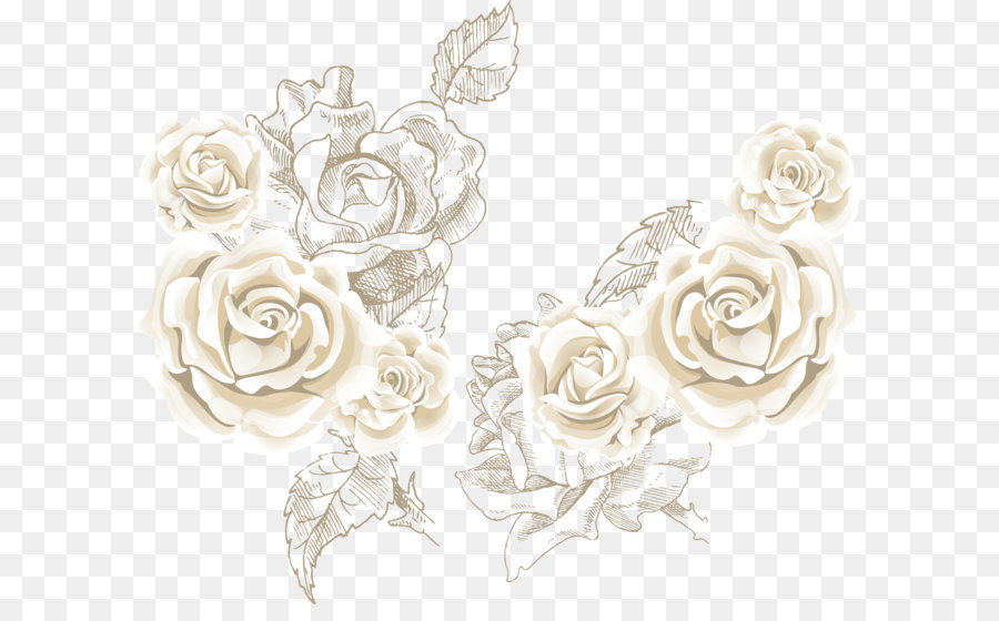 Beach rose Flower Clip art - White roses roses background vector sea png download - 1517*1273 - Free Transparent Beach Rose ai,png Download.