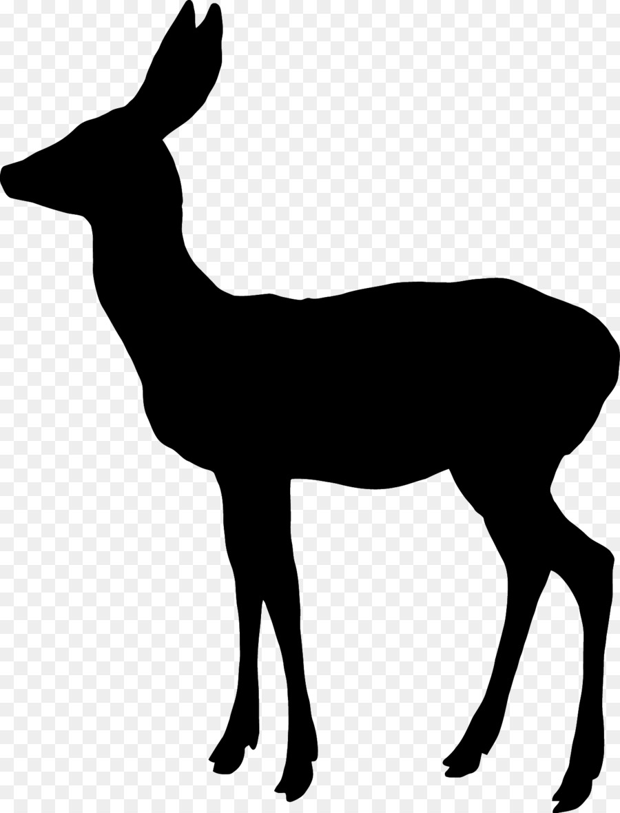 White-tailed deer Reindeer Elk Moose - Fairy Silhouette png download - 1363*1787 - Free Transparent Deer png Download.