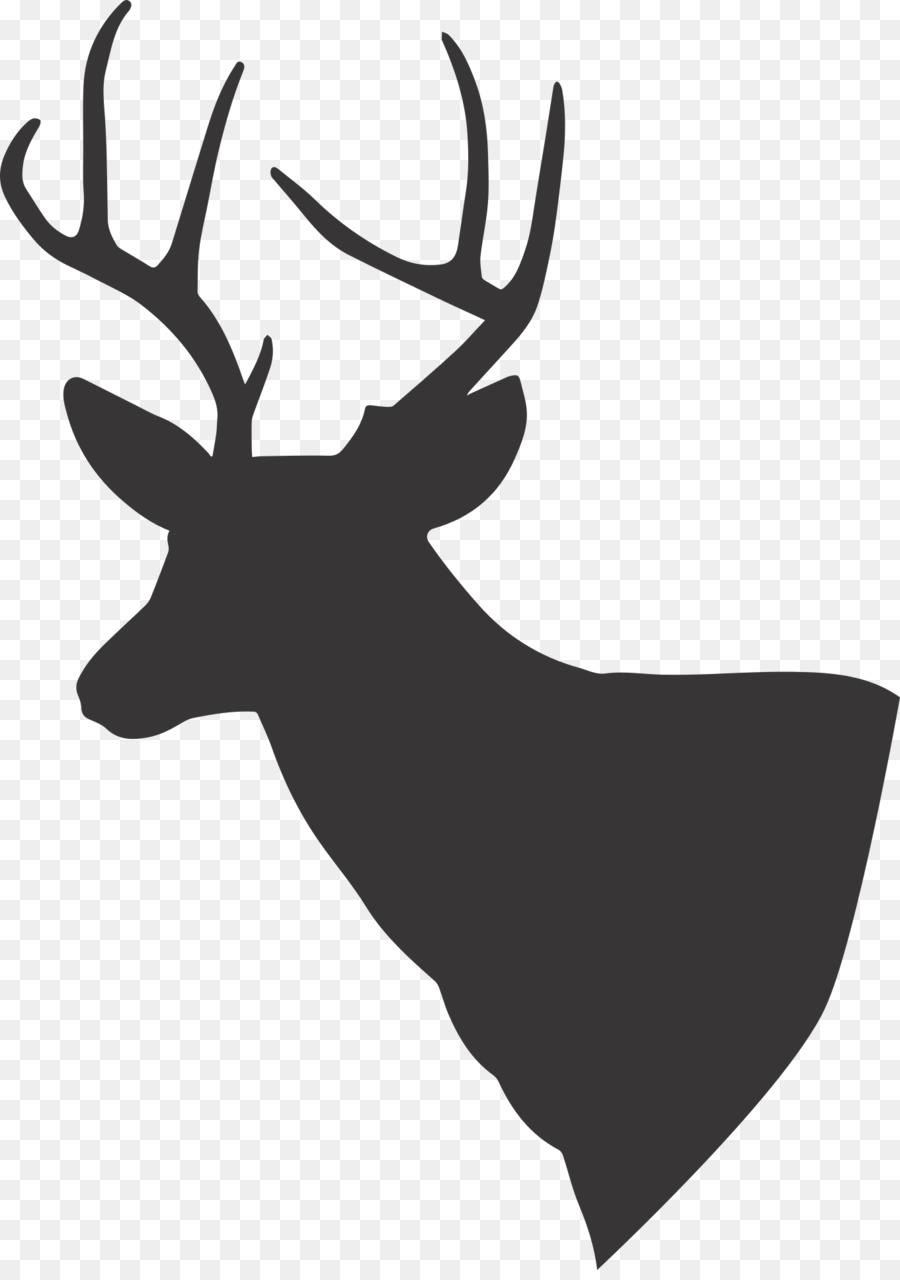 White-tailed deer Reindeer Moose Elk - deer png download - 1361*1920 - Free Transparent Deer png Download.