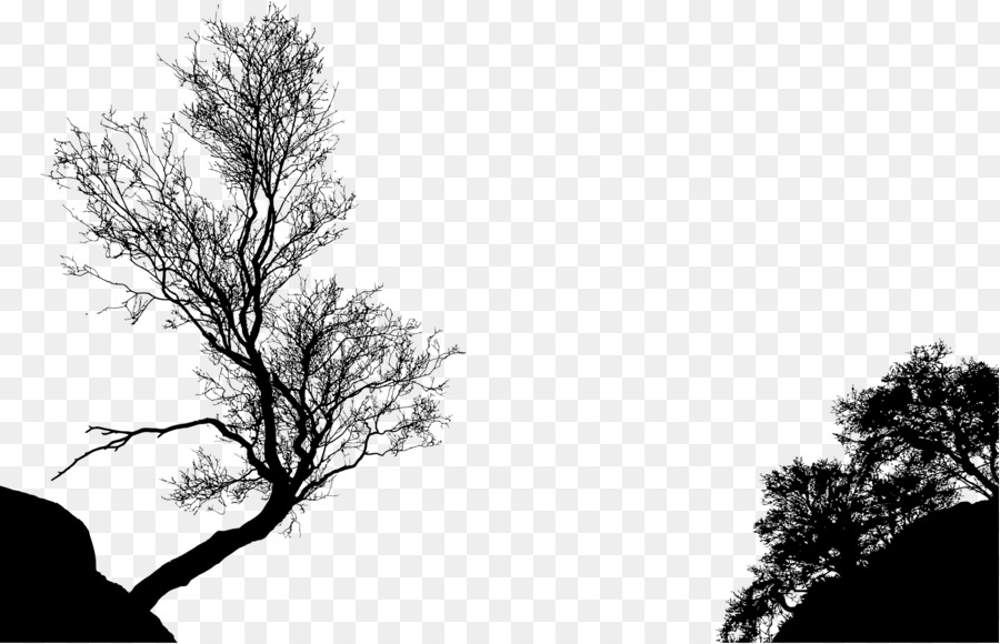 Tree Silhouette Branch Clip art - black and white png download - 2400*1545 - Free Transparent Tree png Download.