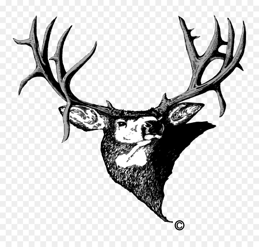 Muley Fanatic Foundation Colorado Organization White-tailed deer - elk silhouette png antler deer png download - 851*850 - Free Transparent Colorado png Download.