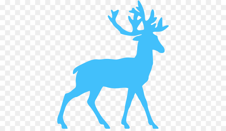 White-tailed deer Reindeer Antler Clip art - deer png download - 512*512 - Free Transparent Deer png Download.