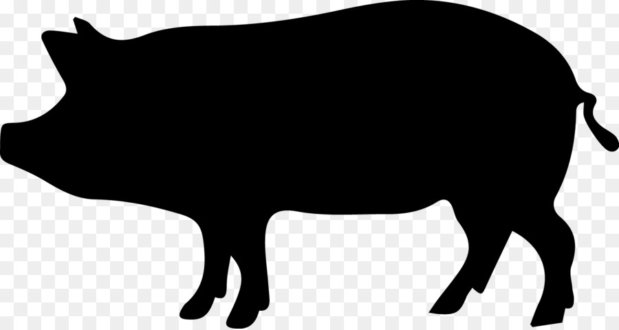 Wild boar Clip art - porco png download - 1449*770 - Free Transparent Wild Boar png Download.