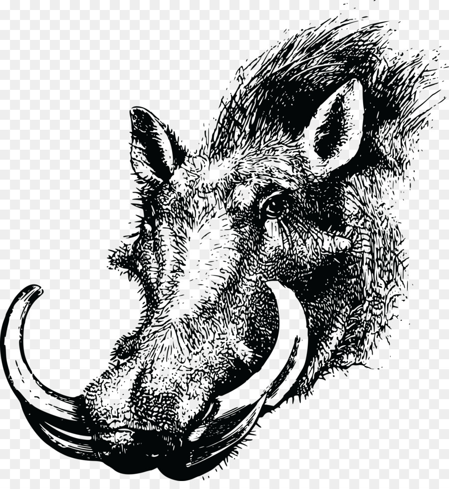 Common warthog Wild boar Clip art Animal Silhouettes Openclipart - animal silhouettes png download - 4000*4285 - Free Transparent Common Warthog png Download.