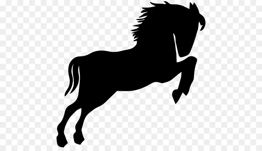 American Saddlebred Wild horse Equestrian Show jumping Horse racing - wild vector png download - 512*512 - Free Transparent American Saddlebred png Download.