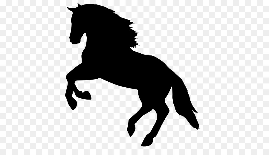 Horse Icon - Horse Silhouette Vector png download - 512*512 - Free Transparent Horse png Download.