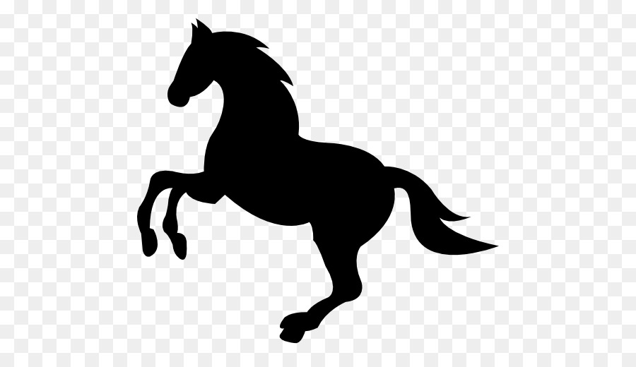 Wild horse Dog Equestrian - wild vector png download - 512*512 - Free Transparent Horse png Download.