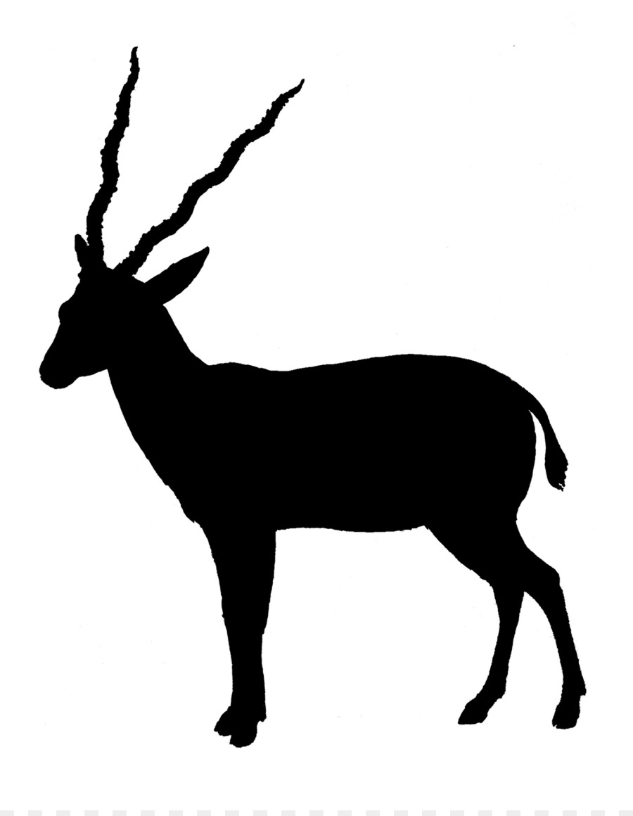 Antelope Gazelle Pronghorn Silhouette Clip art - Silhouette Animals png download - 1250*1600 - Free Transparent Antelope png Download.