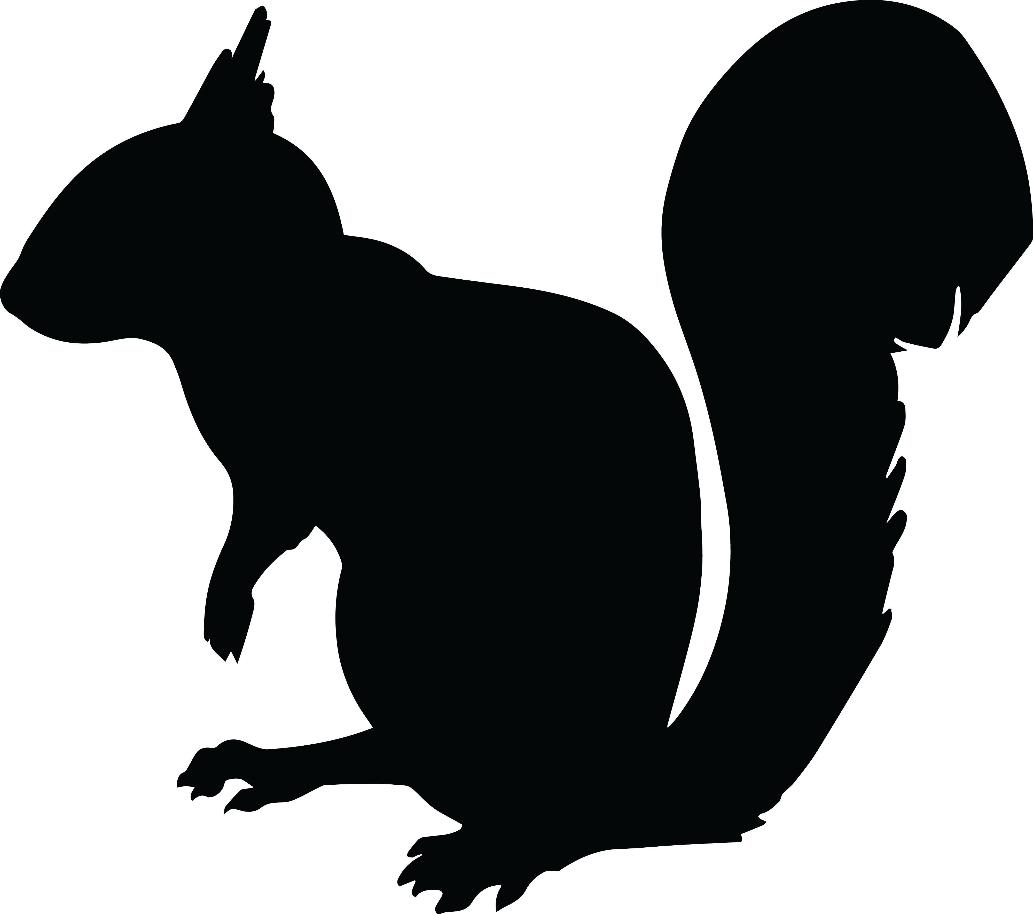 Squirrel Chipmunk Silhouette Clip art - animal silhouettes png download