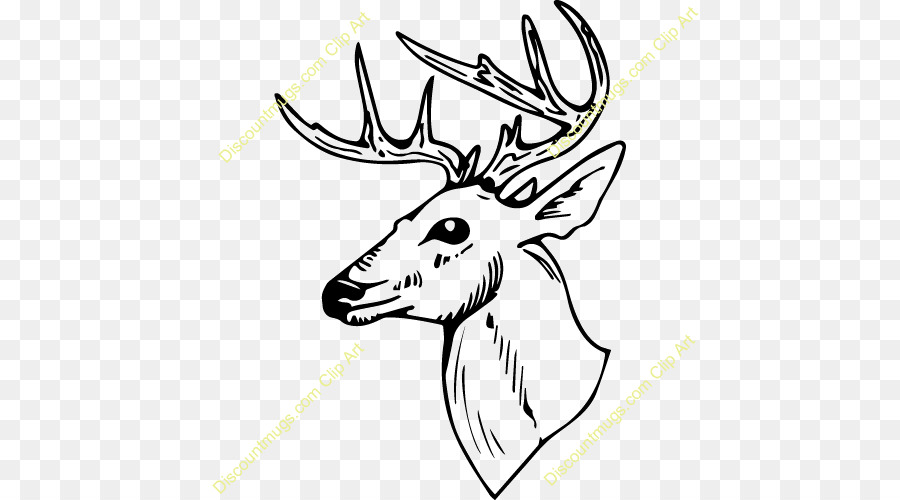 Clip art Coloring book White-tailed deer - deer png download - 500*500 - Free Transparent Coloring Book png Download.