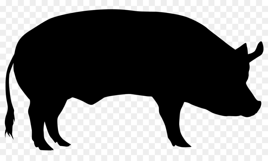 Domestic pig Cattle Sheep Silhouette - pig png download - 2480*1472 - Free Transparent Domestic Pig png Download.