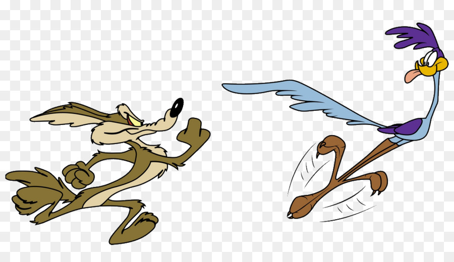 Wile E. Coyote and the Road Runner Looney Tunes Wile Bugs Bunny -  png download - 1024*588 - Free Transparent Coyote png Download.